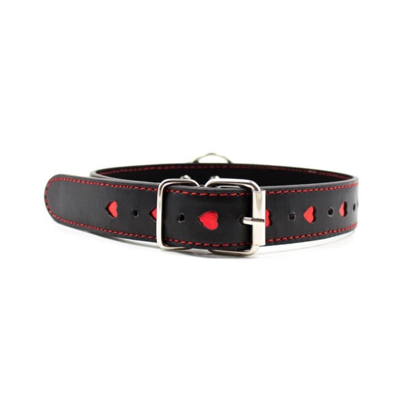 Collar with Metal Leash - Black/Red