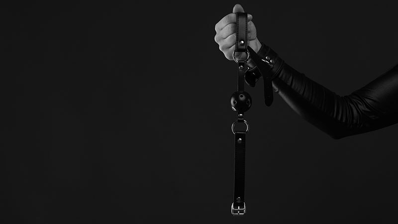 bdsm-skolan-del-2